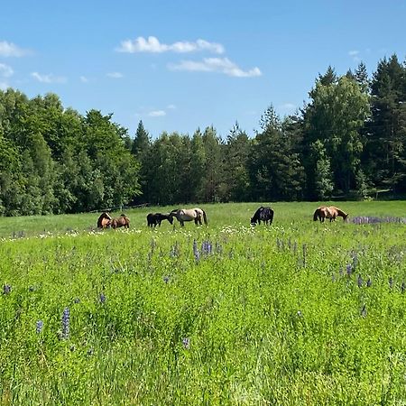 Koziula - Domki I Lesne Spa Na Kaszubach Przywidz  Exterior foto