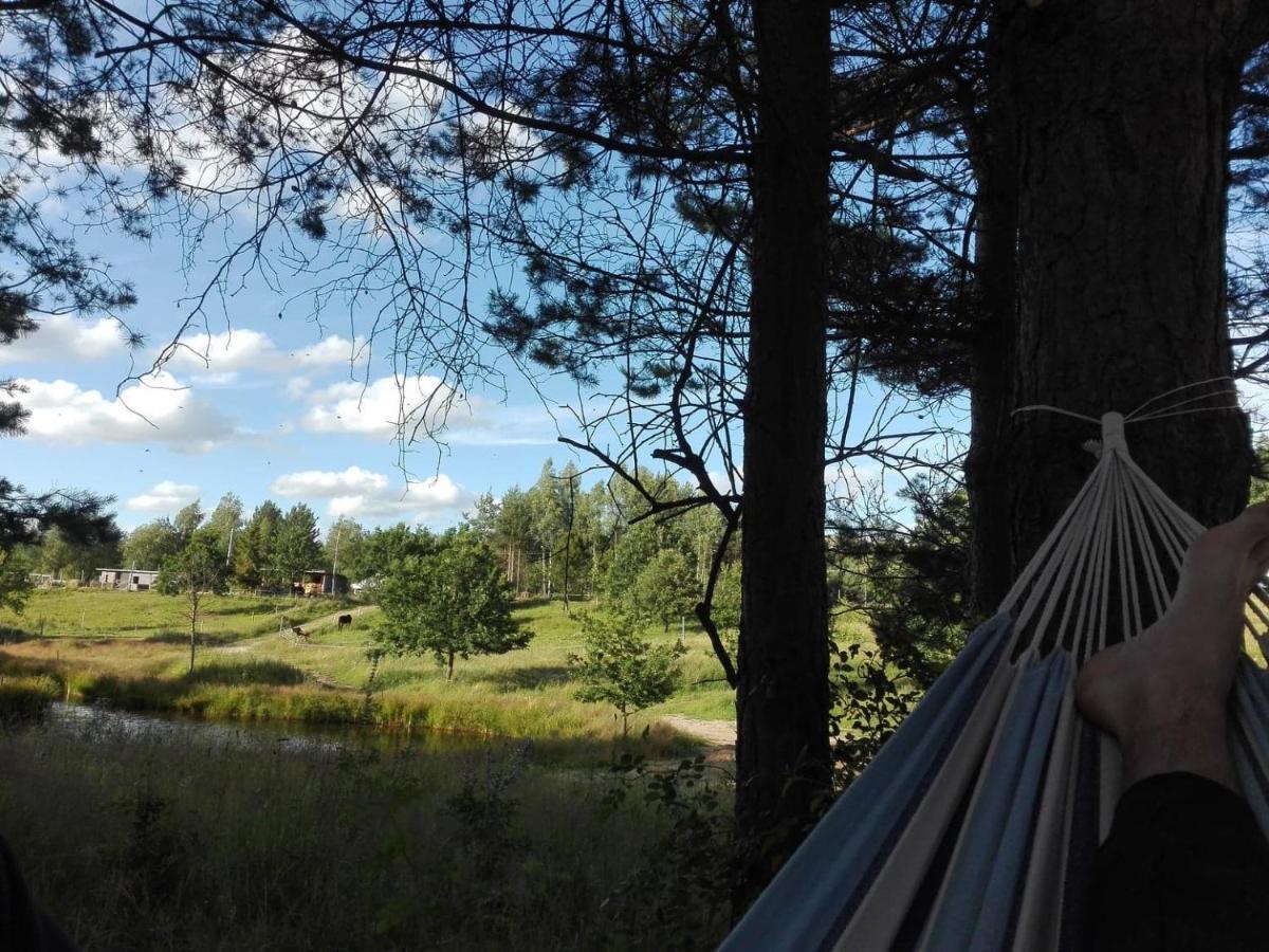 Koziula - Domki I Lesne Spa Na Kaszubach Przywidz  Exterior foto