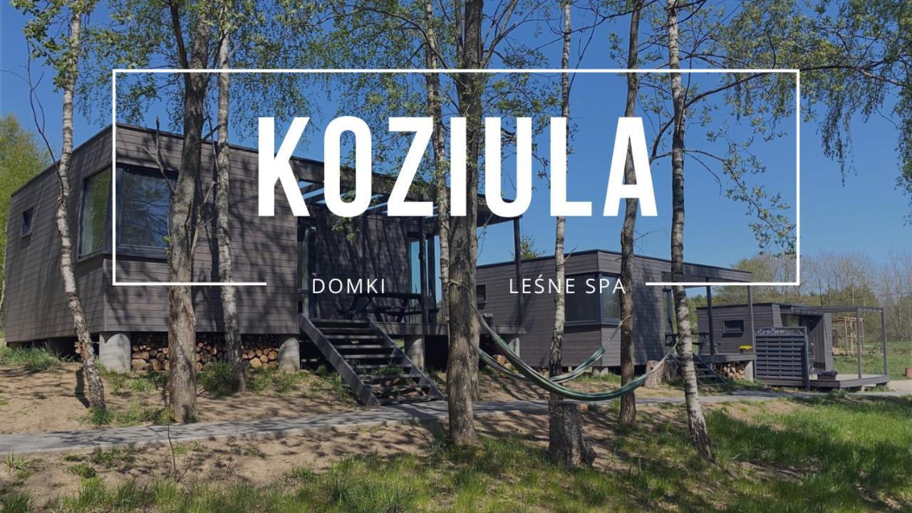 Koziula - Domki I Lesne Spa Na Kaszubach Przywidz  Exterior foto
