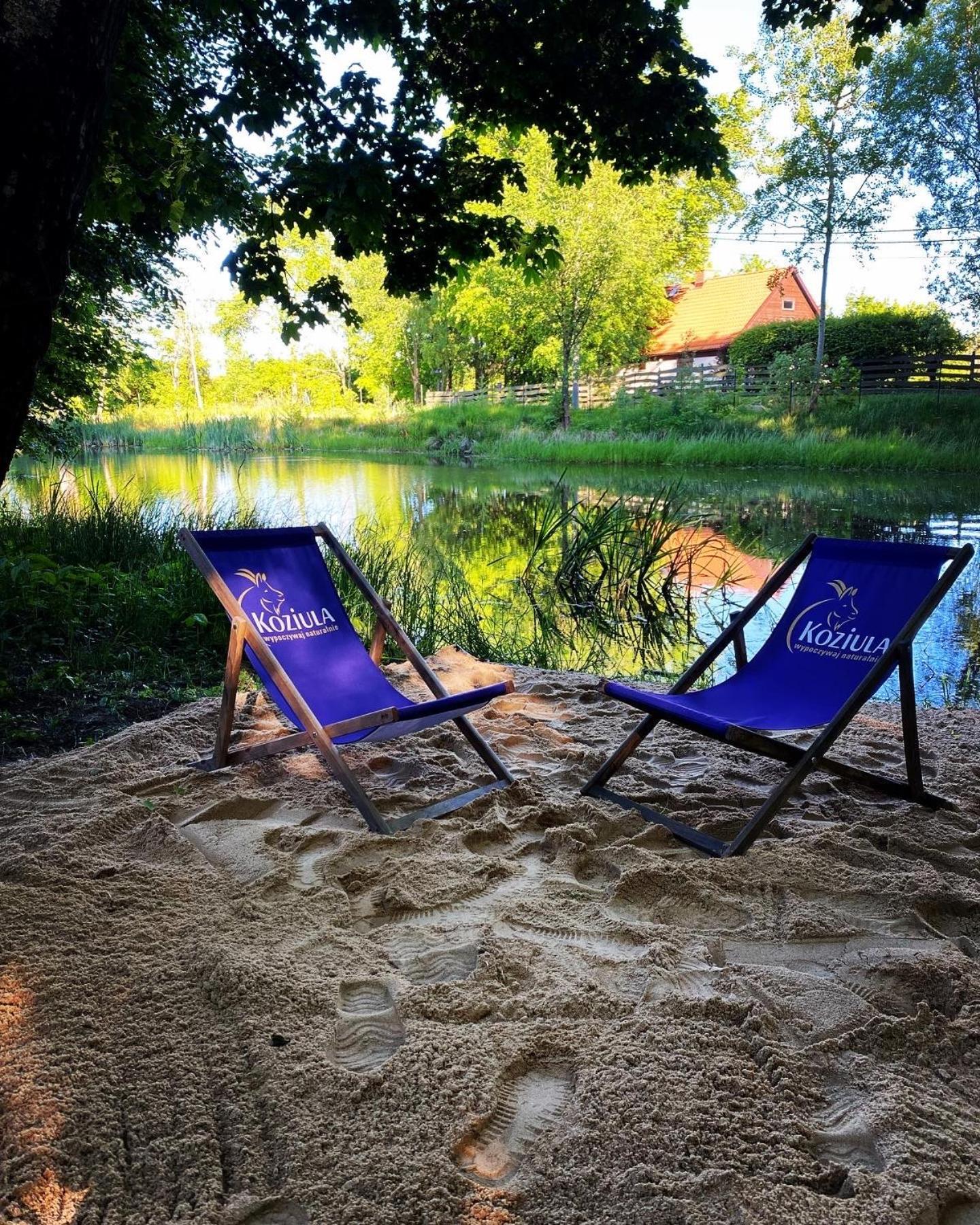 Koziula - Domki I Lesne Spa Na Kaszubach Przywidz  Exterior foto